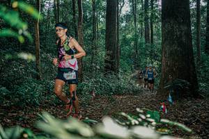 BIB: 
                            <button type="button" onclick="openModal(26067634)" class="btn btn-primary btn-sm float-right btn-popup" data-toggle="modal" data-target=".modal-high-quality">
                        <i class="fas fa-shopping-cart"></i> Add to Cart
                    </button>
                                            <button type="button" onclick="isThisMe(26067634, true)" class="btn btn-success btn-sm float-right btn-popup btn-isme hidden" data-toggle="tooltip" data-placement="bottom" title="นี่คือรูปของคุณใช่ไหม คลิกที่นี่เพื่อเอาเข้าอัลบั้ม">
                        <i class="fas fa-plus"></i> Add to album
                    </button>
                    <button type="button" onclick="isThisMe(26067634, false)" class="btn btn-warning btn-sm float-right btn-popup btn-isnotme hidden">
                        <i class="fas fa-ban"></i> Remove from album
                    </button>